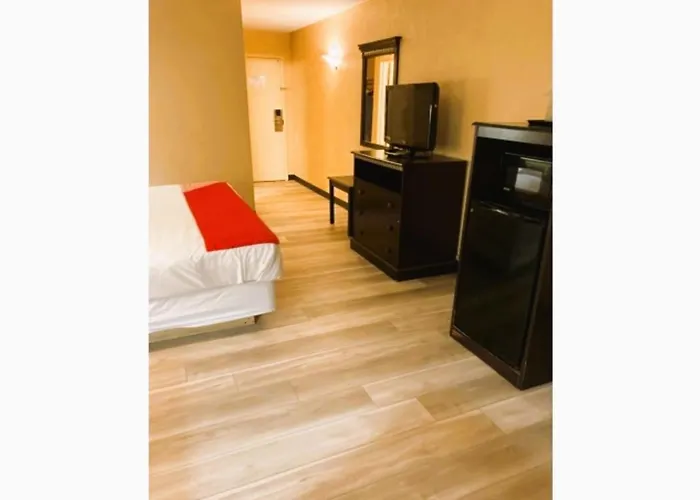 Top-Rated Accommodations in Charming Nacogdoches