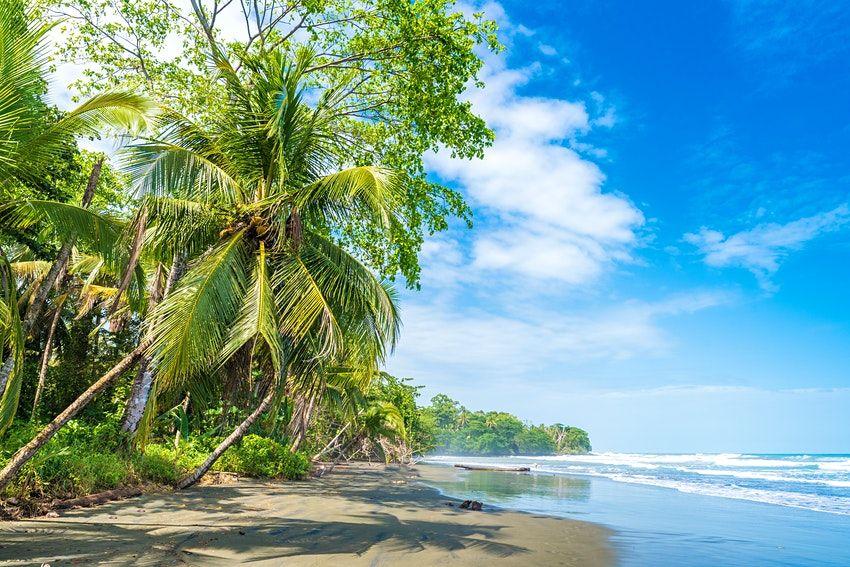Playa Negra, la spiaggia nera di Cahuita sulla costa caraibica © Simon Dannhauer / Shutterstock